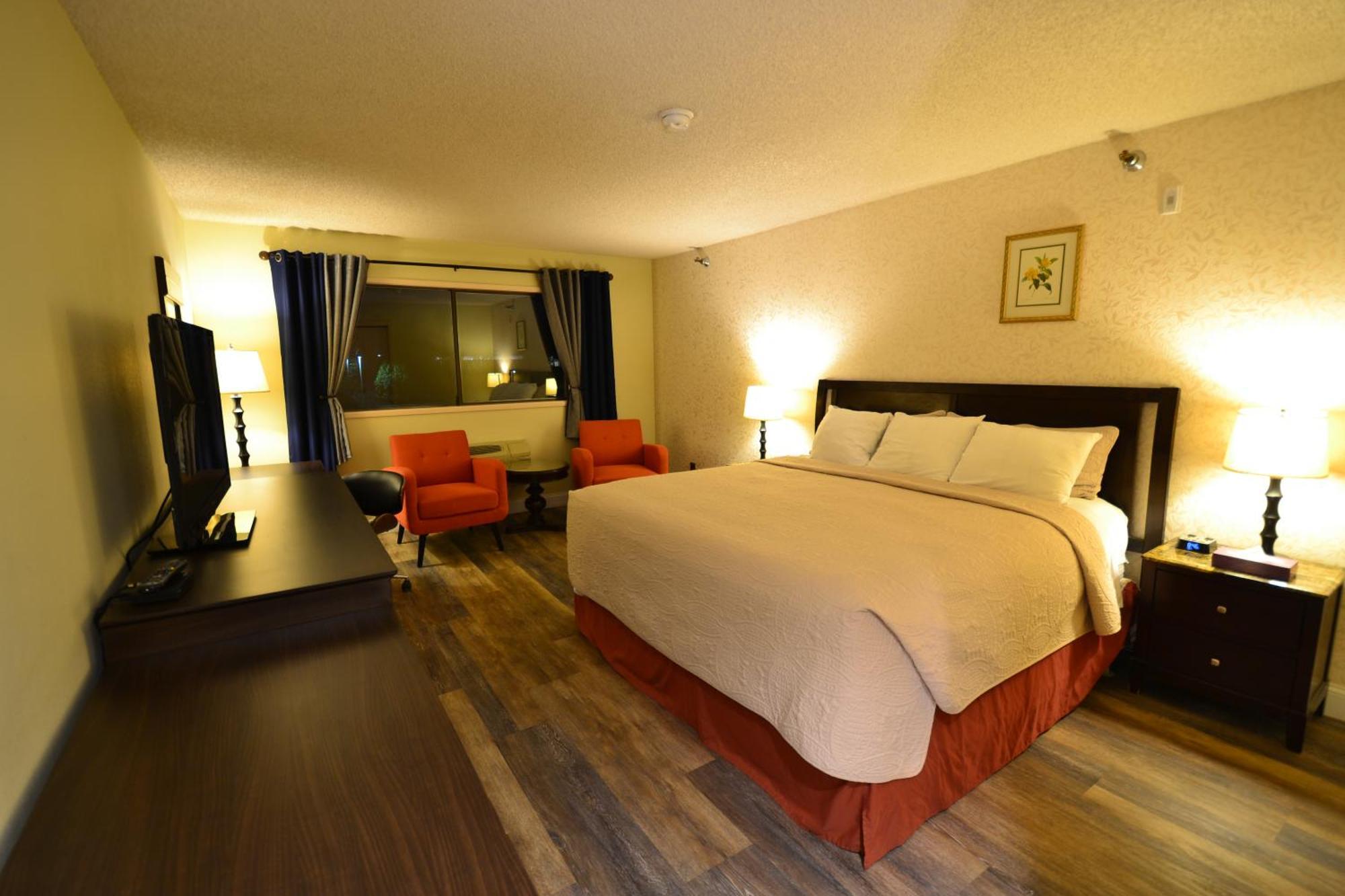 Hotel International