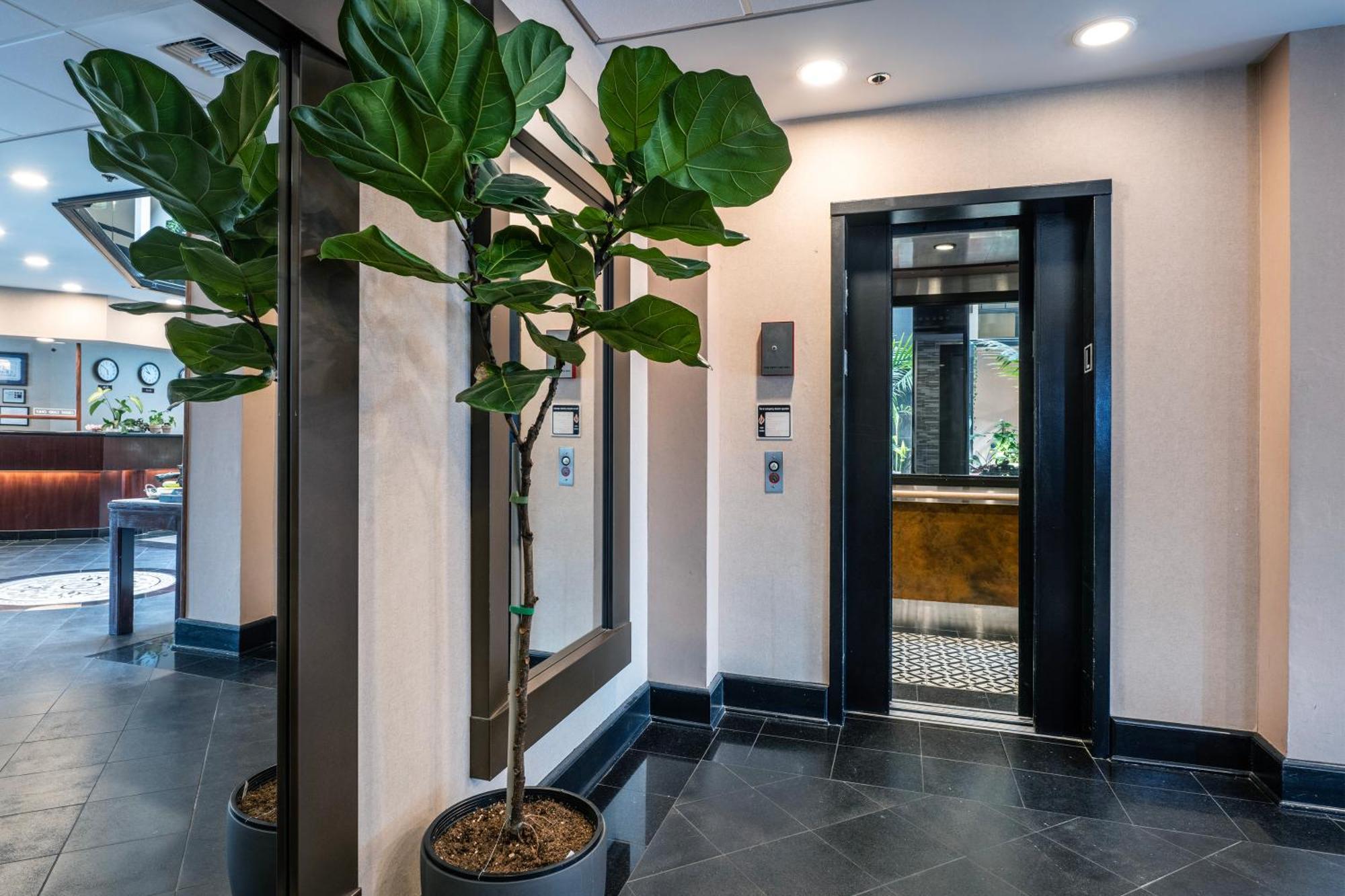 Hotel International Lynnwood
