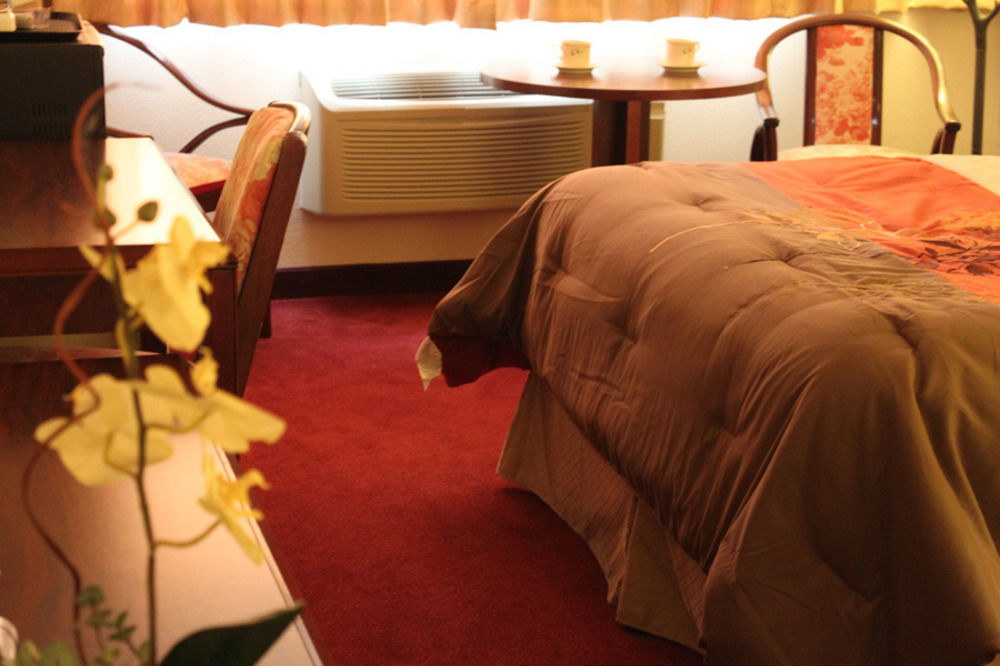 Hotel International 2*