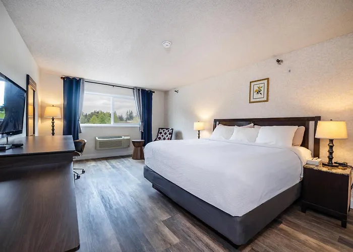 Hotel International